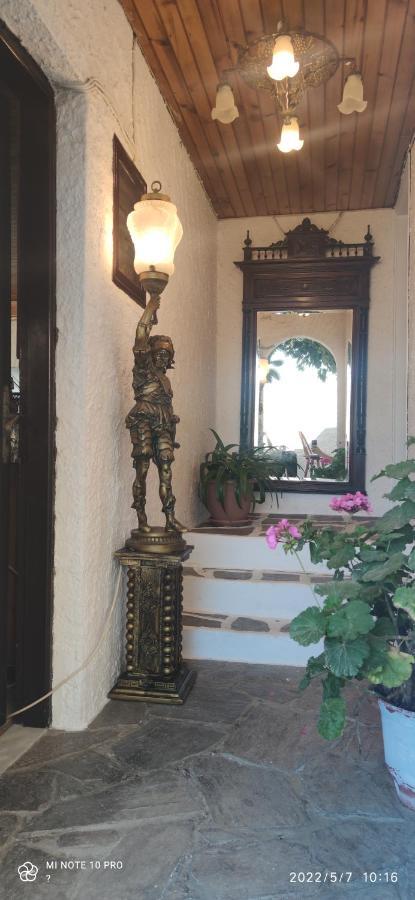 Odysseas Hotel Samos Екстериор снимка